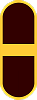 Warrant Officer Junior Grade